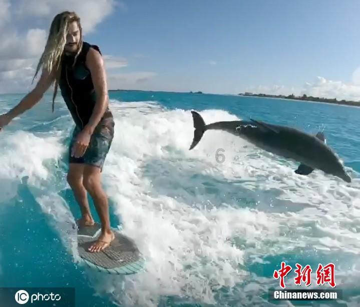 小仓鼠吃瓜子